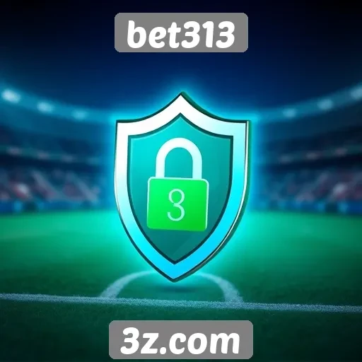 Análise da segurança do site bet313